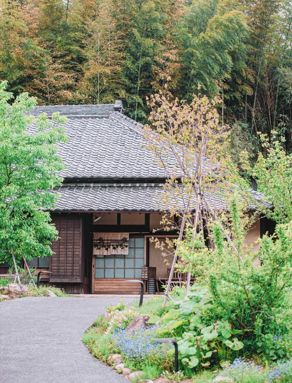 とこ十和について